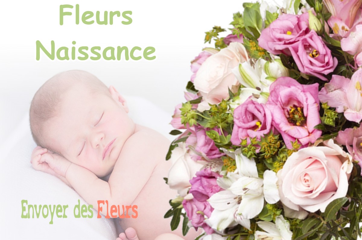 lIVRAISON FLEURS NAISSANCE à VIEUX-BOUCAU-LES-BAINS